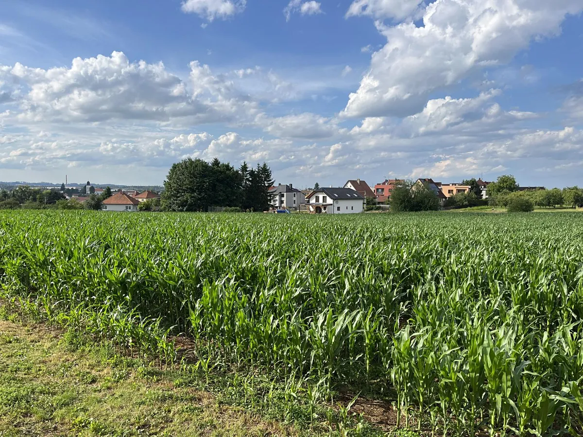 Fotka 9 z 13